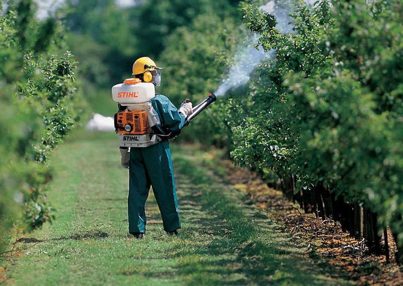  Stihl